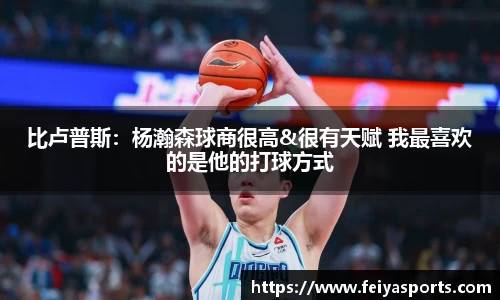 飞亚体育官网